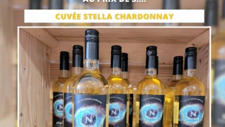 Voici la promotion caveau « septembre 2024 » : Le carton de 6 bouteilles de Chardonnay Stella au prix exceptionnel de 22.50€ !